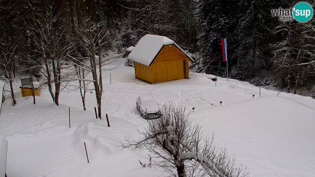 Webcam Lukanja – Water Village | Pohorje Houses