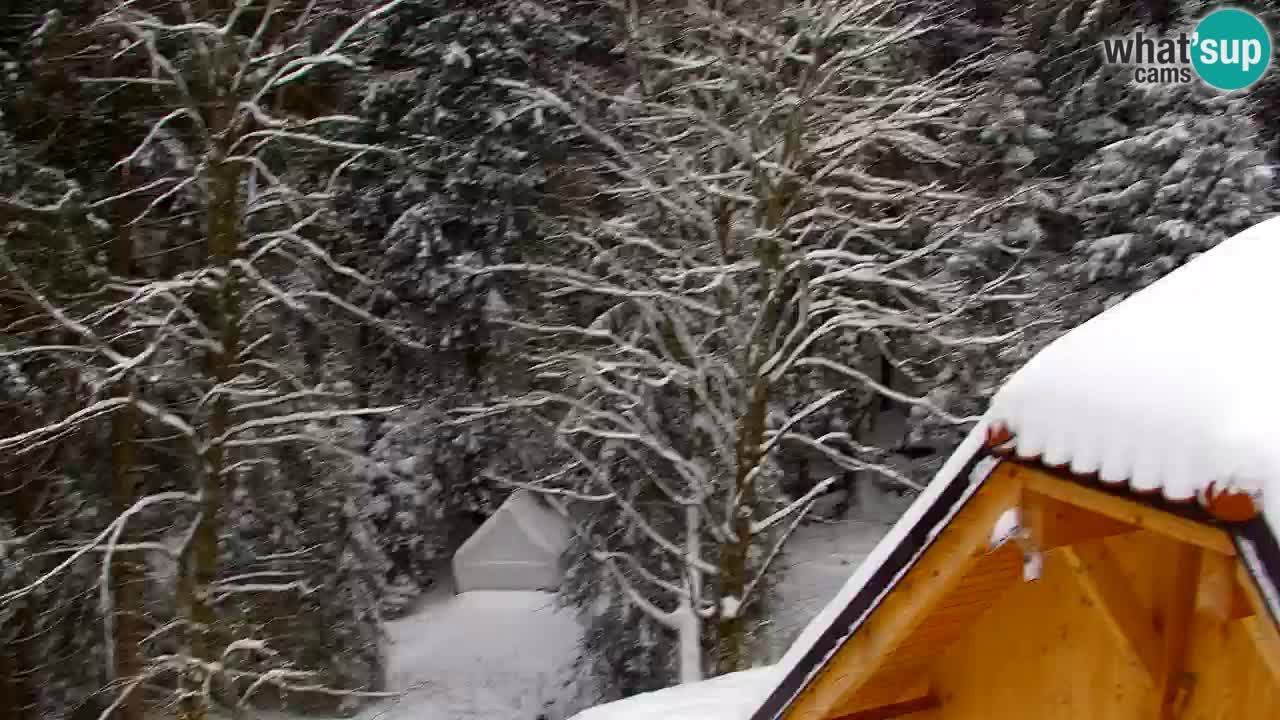 Webcam Lukanja – Pohorje houses a Water village