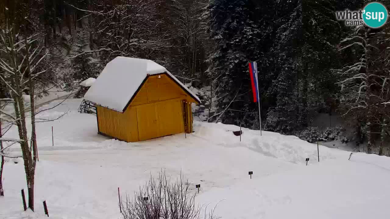 Webcam Lukanja – Water Village | Pohorje Houses