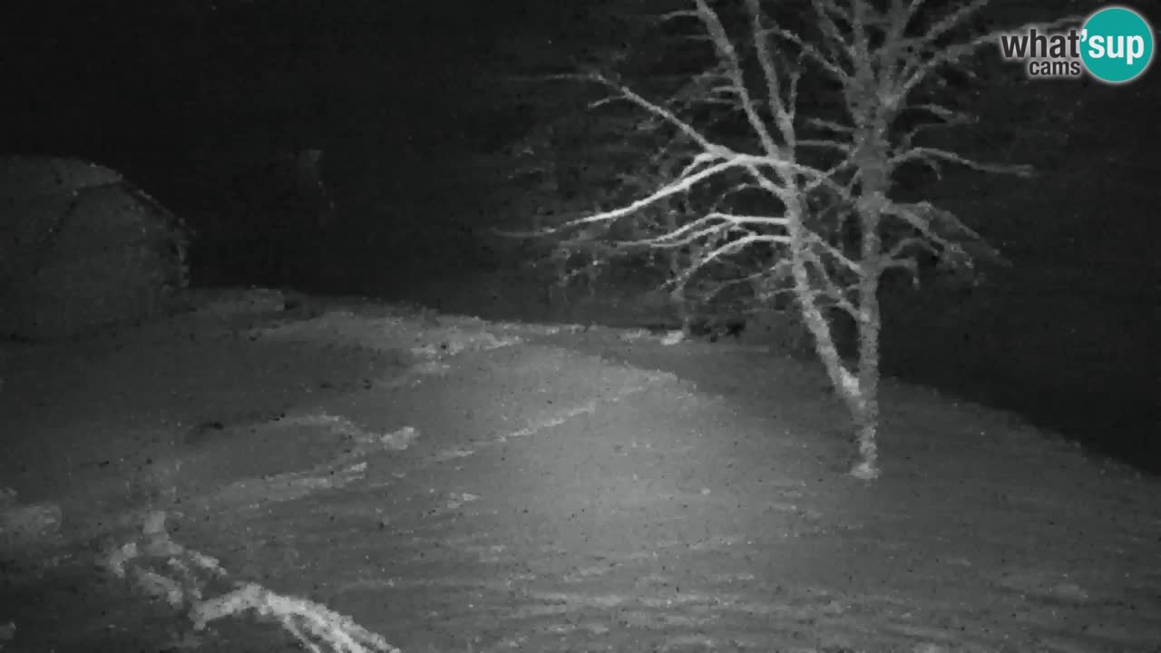 Webcam Lukanja – Water Village | Pohorje Houses