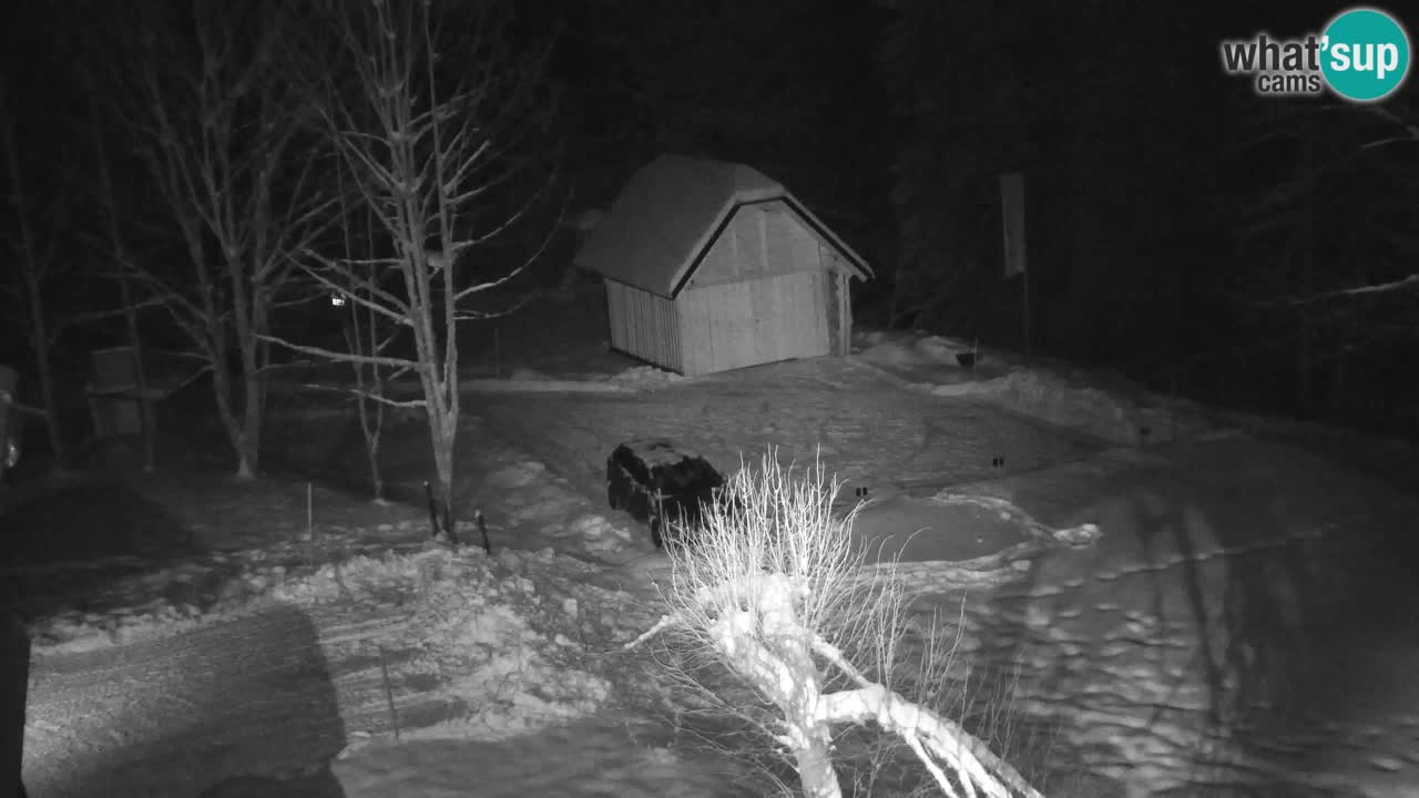Webcam Lukanja – Pohorje houses a Water village