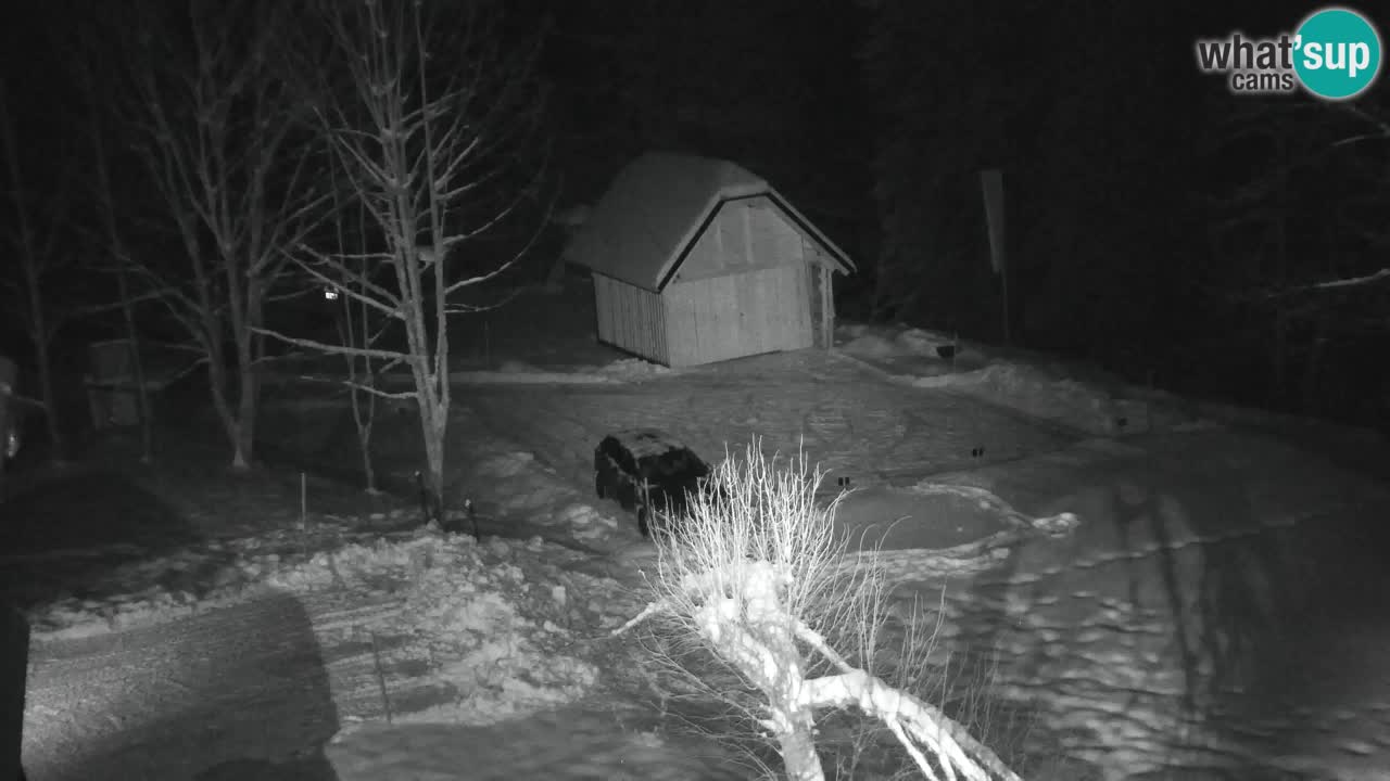 Web kamera Lukanja – Water Village | Pohorje Houses