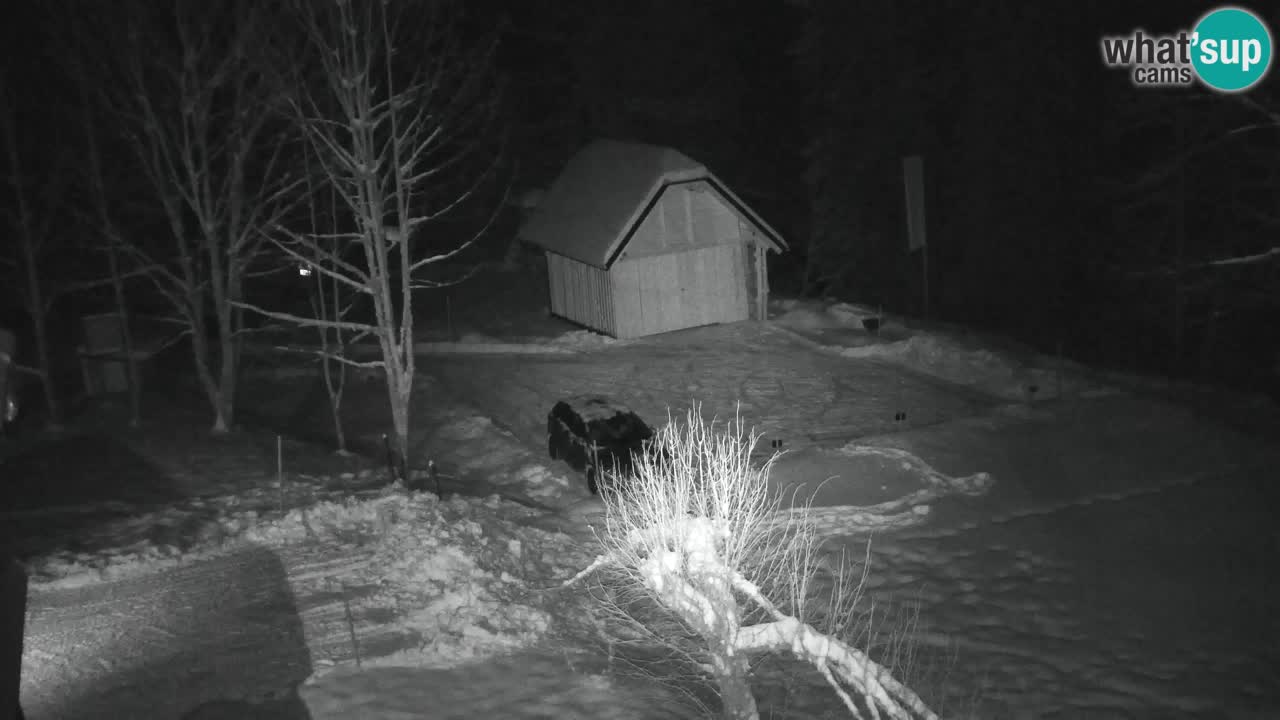 Webcam Lukanja – Water Village | Pohorje Houses