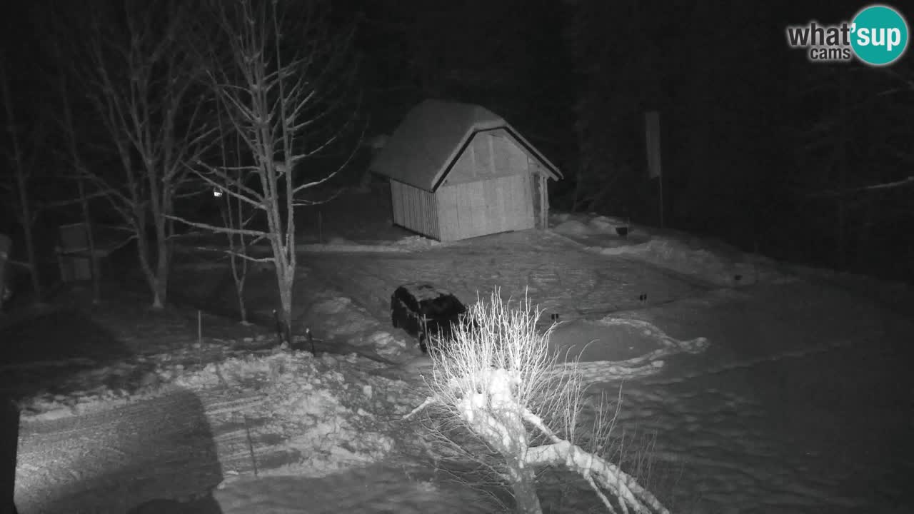 Webcam Lukanja – Water Village | Pohorje Houses