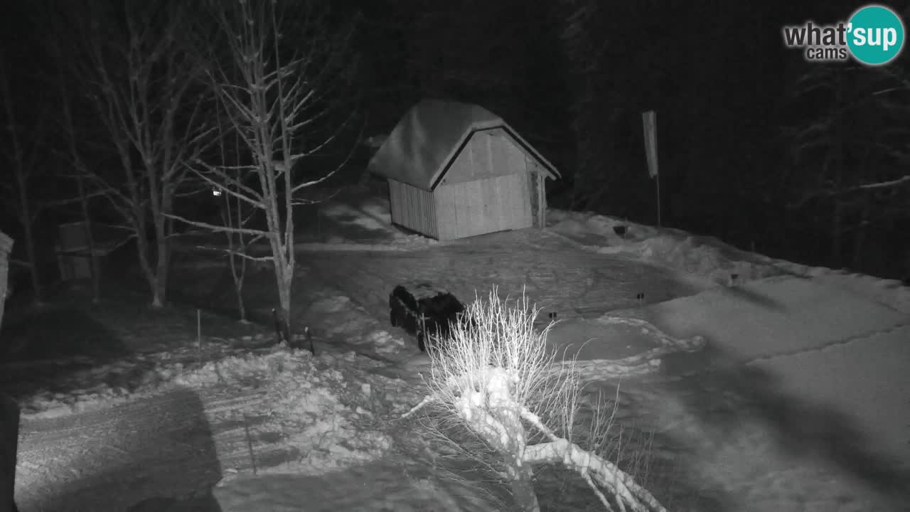 Web kamera Lukanja – Water Village | Pohorje Houses