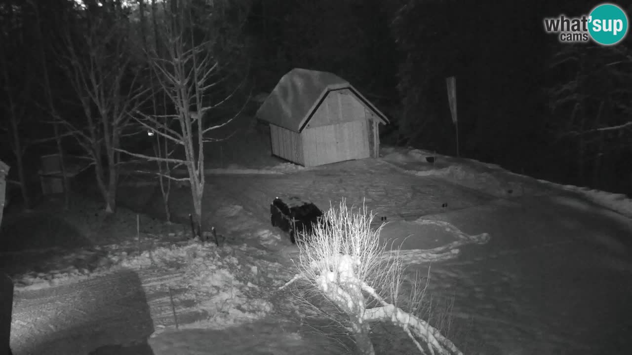 Webcam Lukanja – Water Village | Pohorje Houses