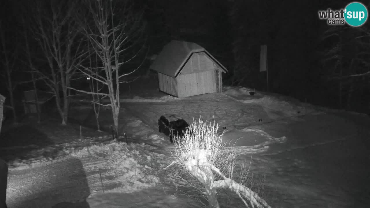 Webcam Lukanja – Water Village | Pohorje Houses