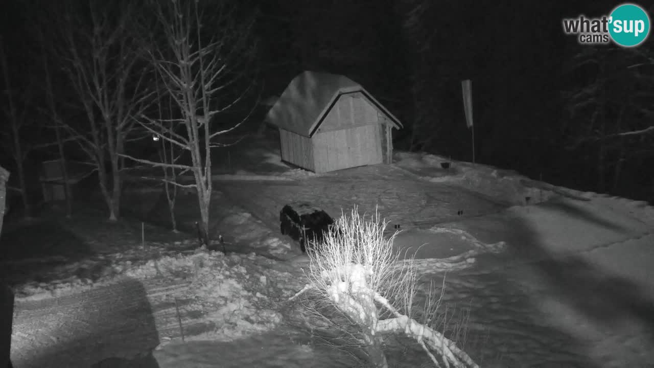 Spletna kamera Lukanja – Water Village | Pohorje Houses