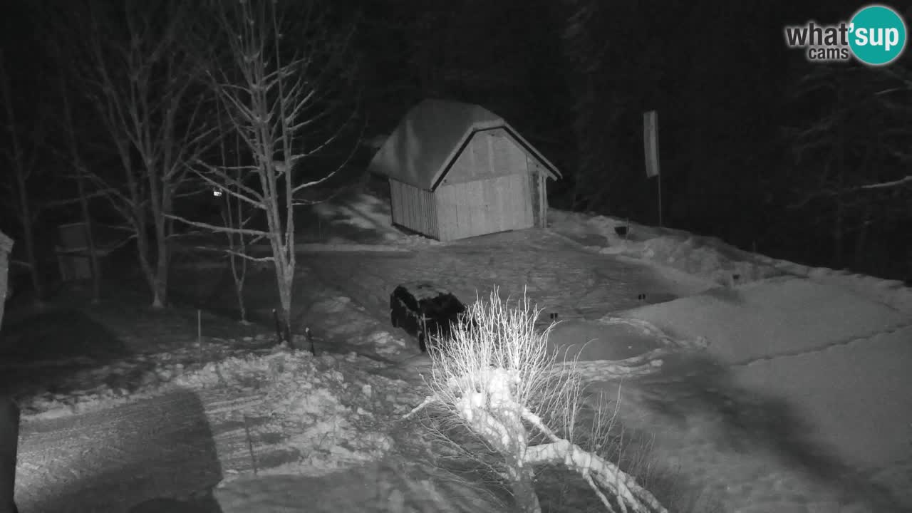 Webcam Lukanja – Water Village | Pohorje Houses