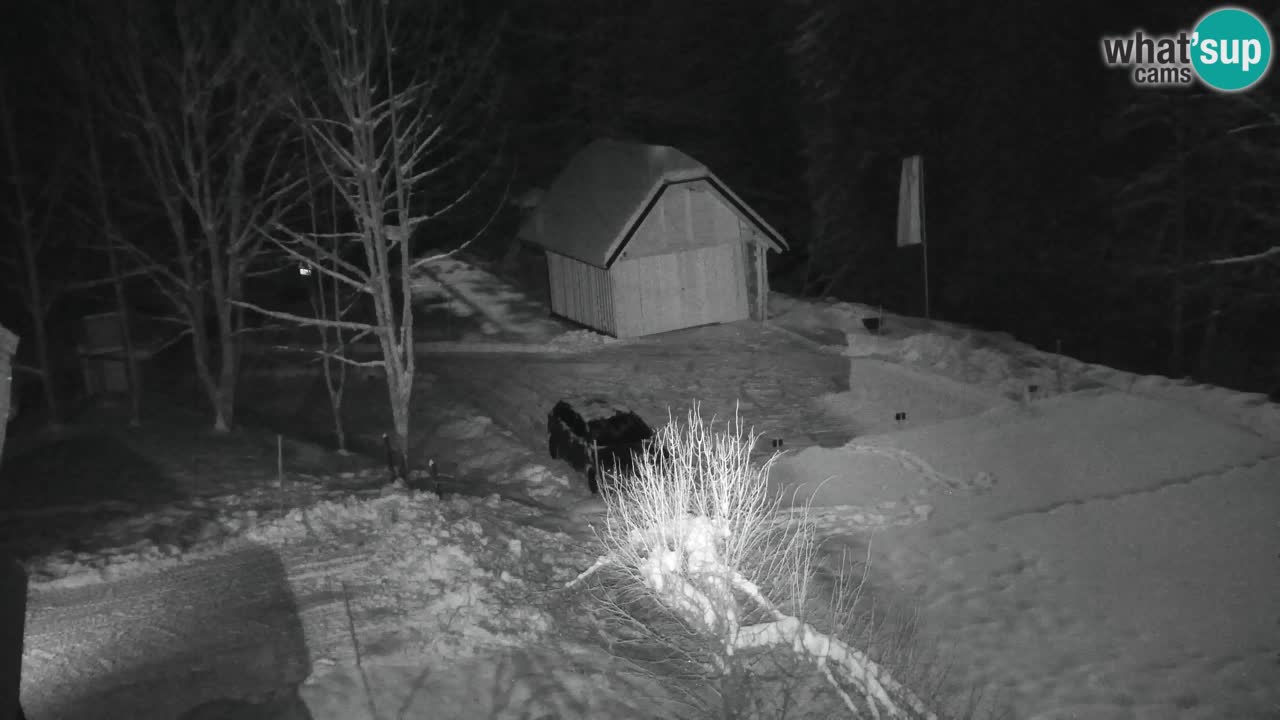 Webcam Lukanja – Water Village | Pohorje Houses