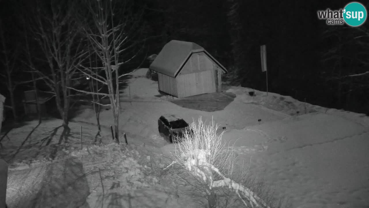 Spletna kamera Lukanja – Water Village | Pohorje Houses