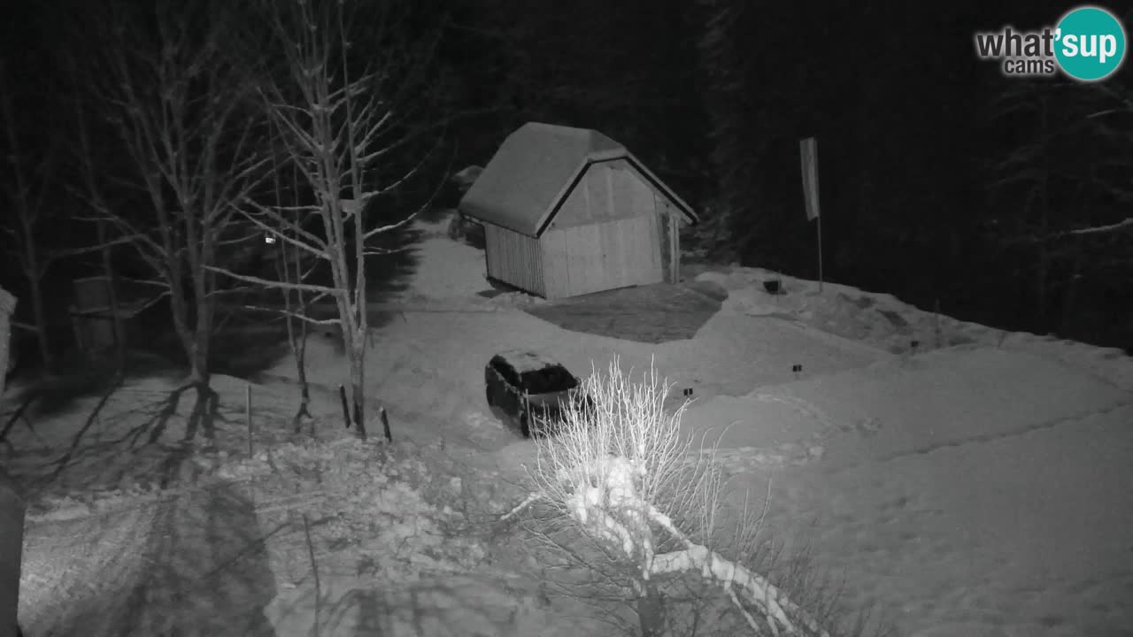 Spletna kamera Lukanja – Water Village | Pohorje Houses