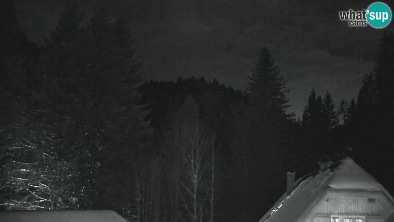 Webcam Lukanja – Pohorje houses a Water village