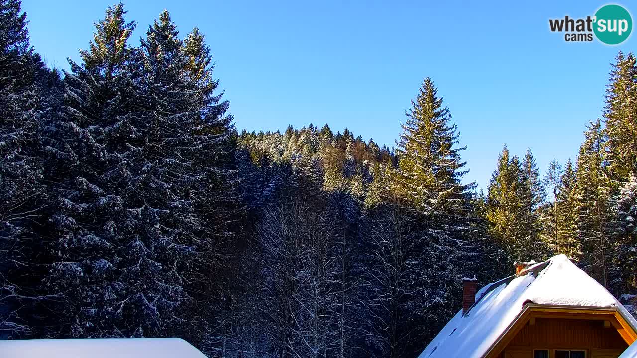 Web kamera Lukanja – Water Village | Pohorje Houses