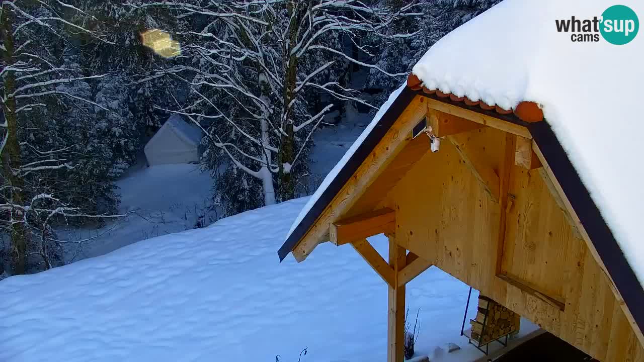 Webcam Lukanja – Water Village | Pohorje Houses
