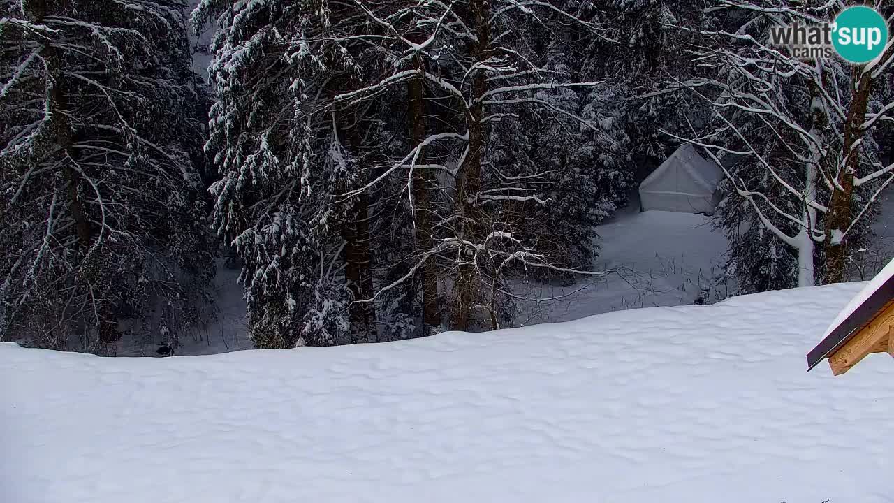 Webcam Lukanja – Water Village | Pohorje Houses