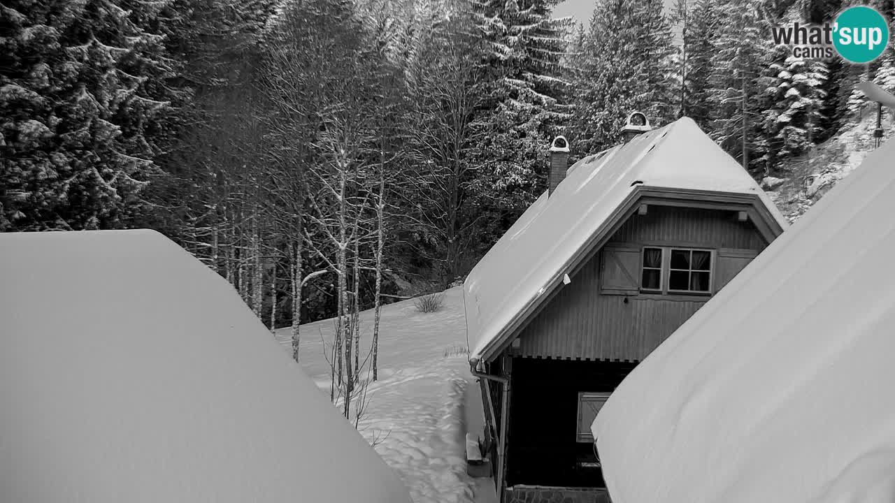 Webcam Lukanja – Pohorje houses a Water village