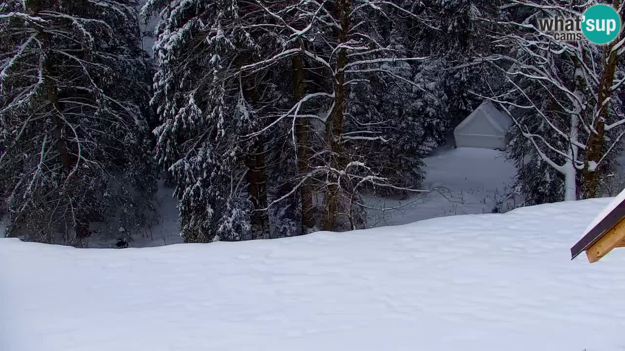 Web kamera Lukanja – Water Village | Pohorje Houses