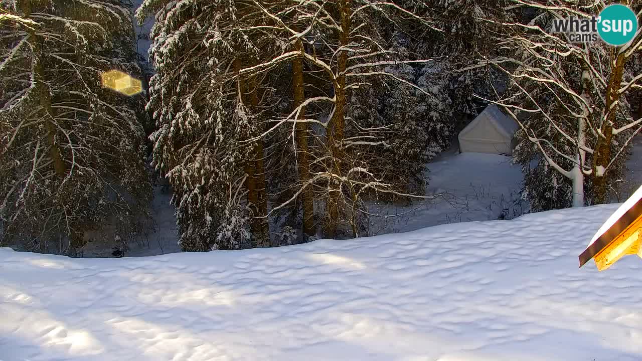 Spletna kamera Lukanja – Water Village | Pohorje Houses
