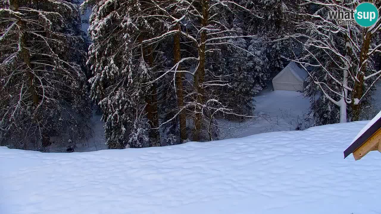 Webcam Lukanja – Pohorje houses a Water village