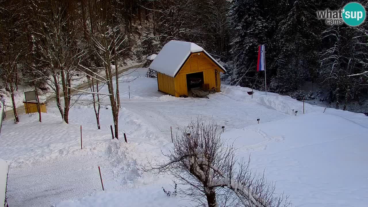 Spletna kamera Lukanja – Water Village | Pohorje Houses