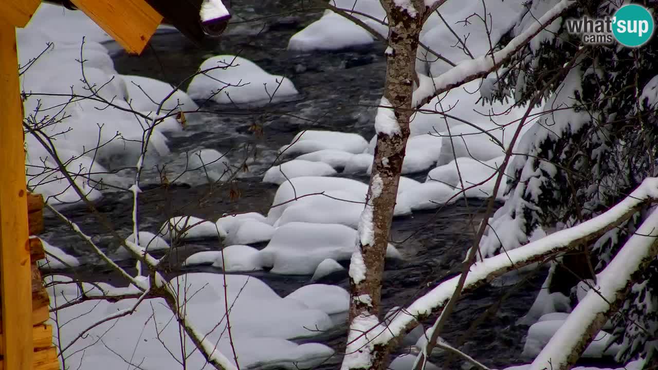 Webcam Lukanja – Pohorje houses a Water village