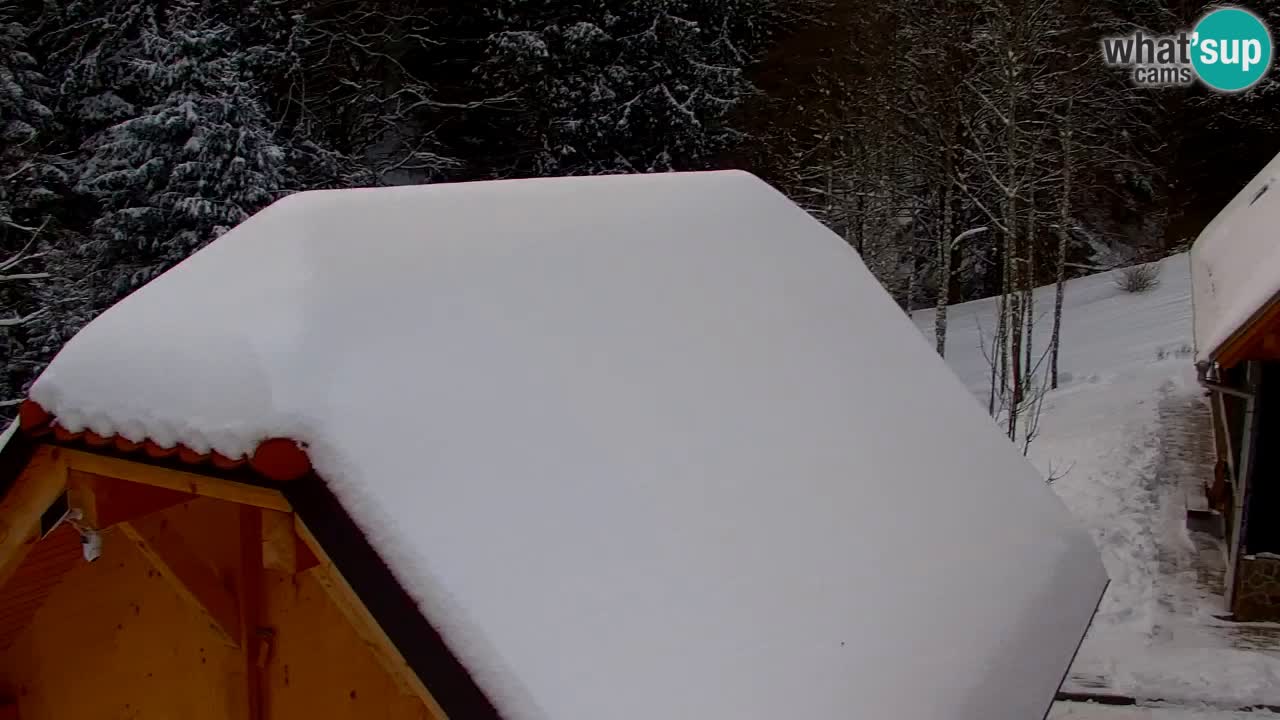 Web kamera Lukanja – Water Village | Pohorje Houses