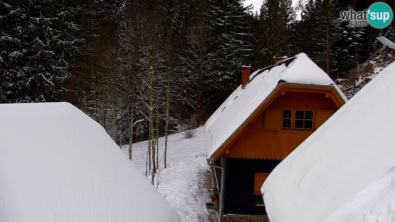 Webcam Lukanja – Water Village | Pohorje Houses