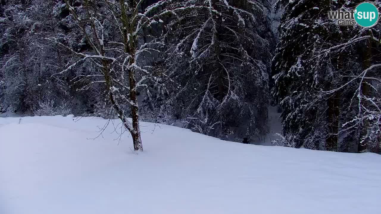 Webcam Lukanja – Pohorje houses a Water village