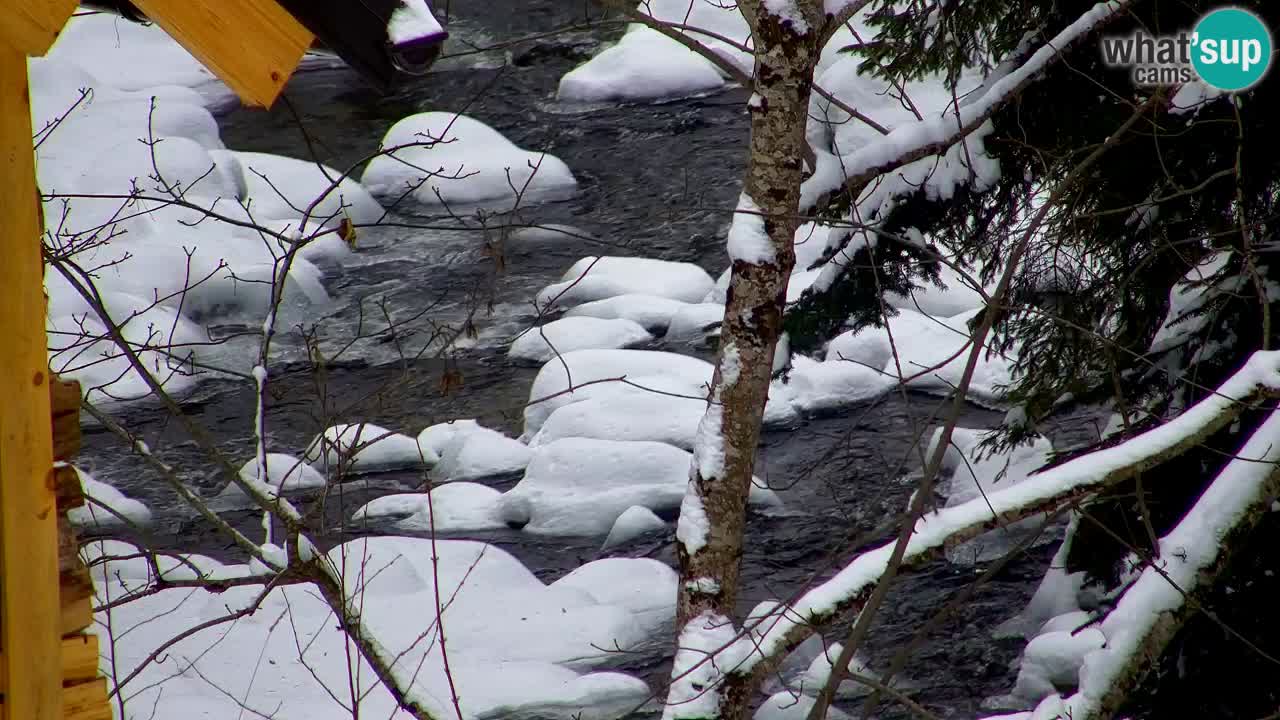 Webcam Lukanja – Pohorje houses a Water village