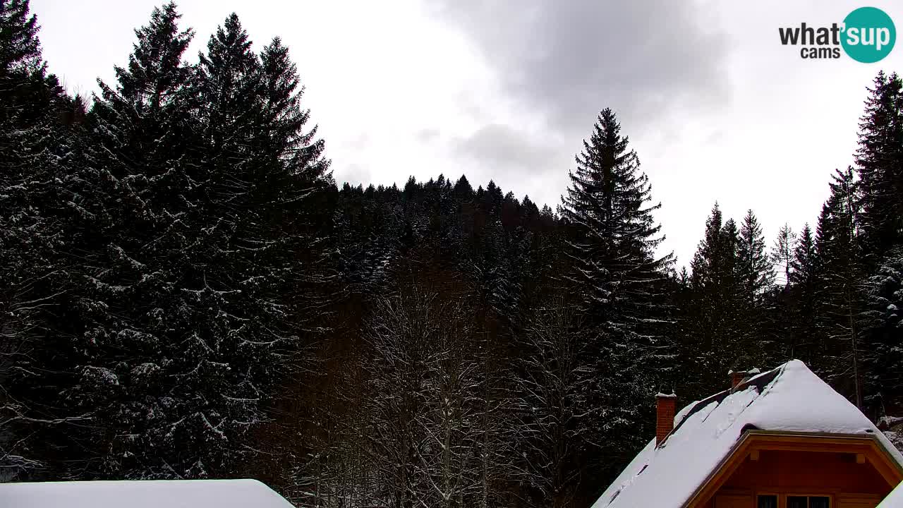 Spletna kamera Lukanja – Water Village | Pohorje Houses