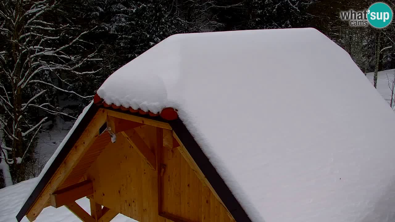 Webcam Lukanja – Pohorje houses a Water village