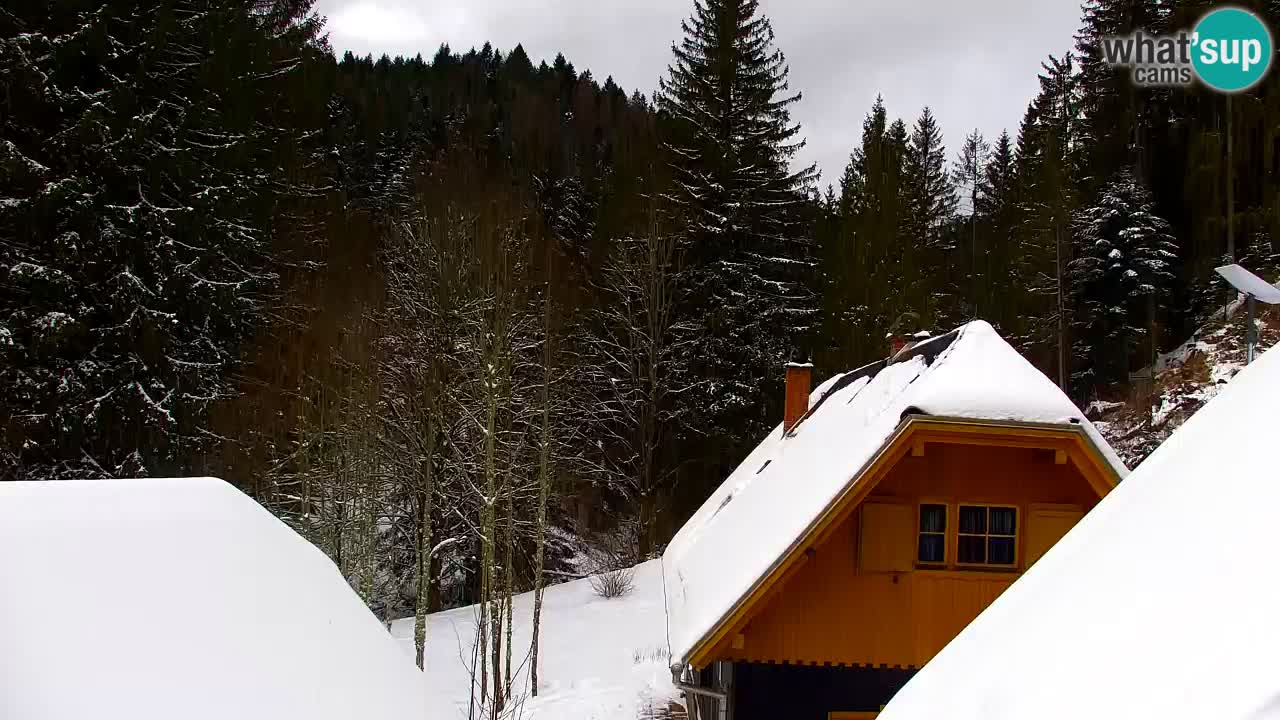 Webcam Lukanja – Water Village | Pohorje Houses