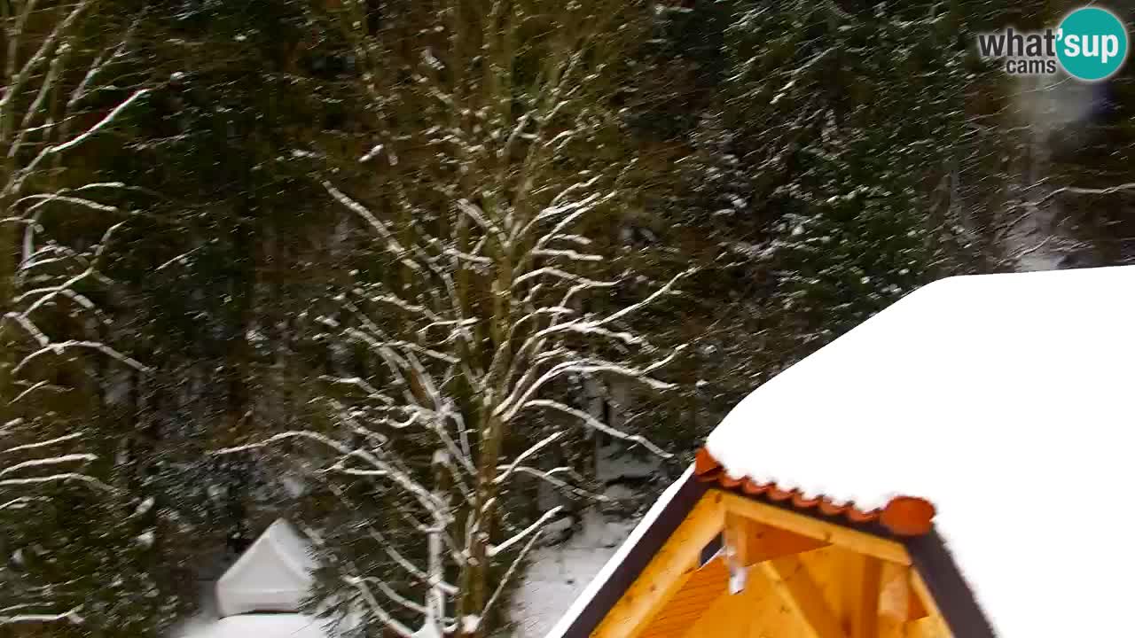 Webcam Lukanja – Water Village | Pohorje Houses