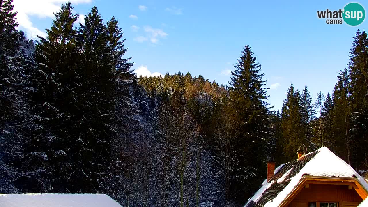 Webcam Lukanja – Water Village | Pohorje Houses