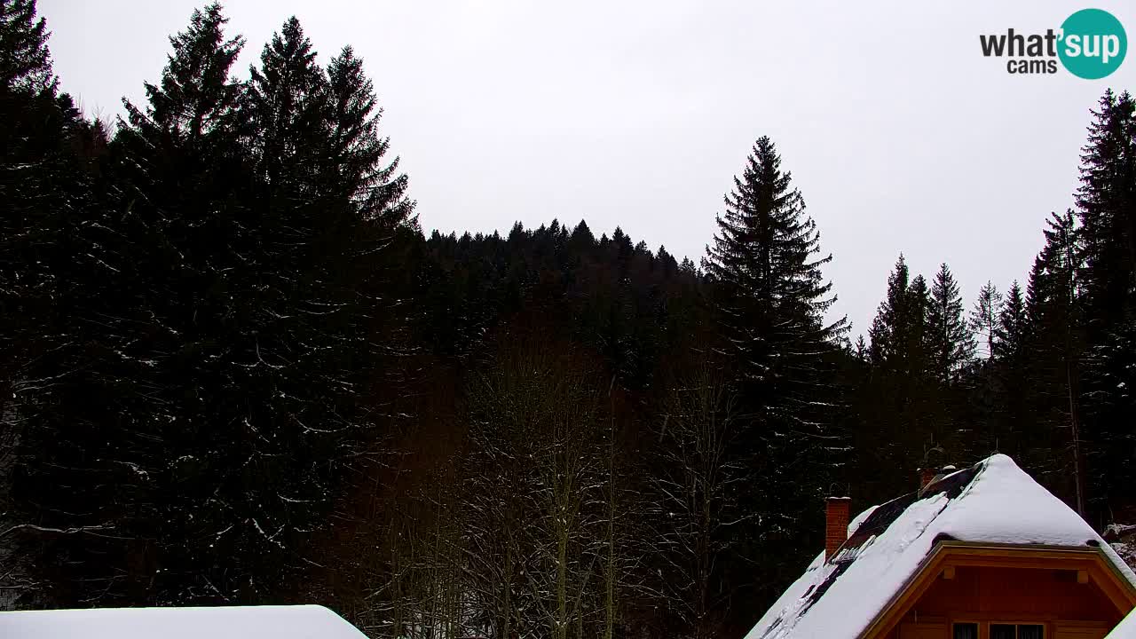 Webcam Lukanja – Water Village | Pohorje Houses