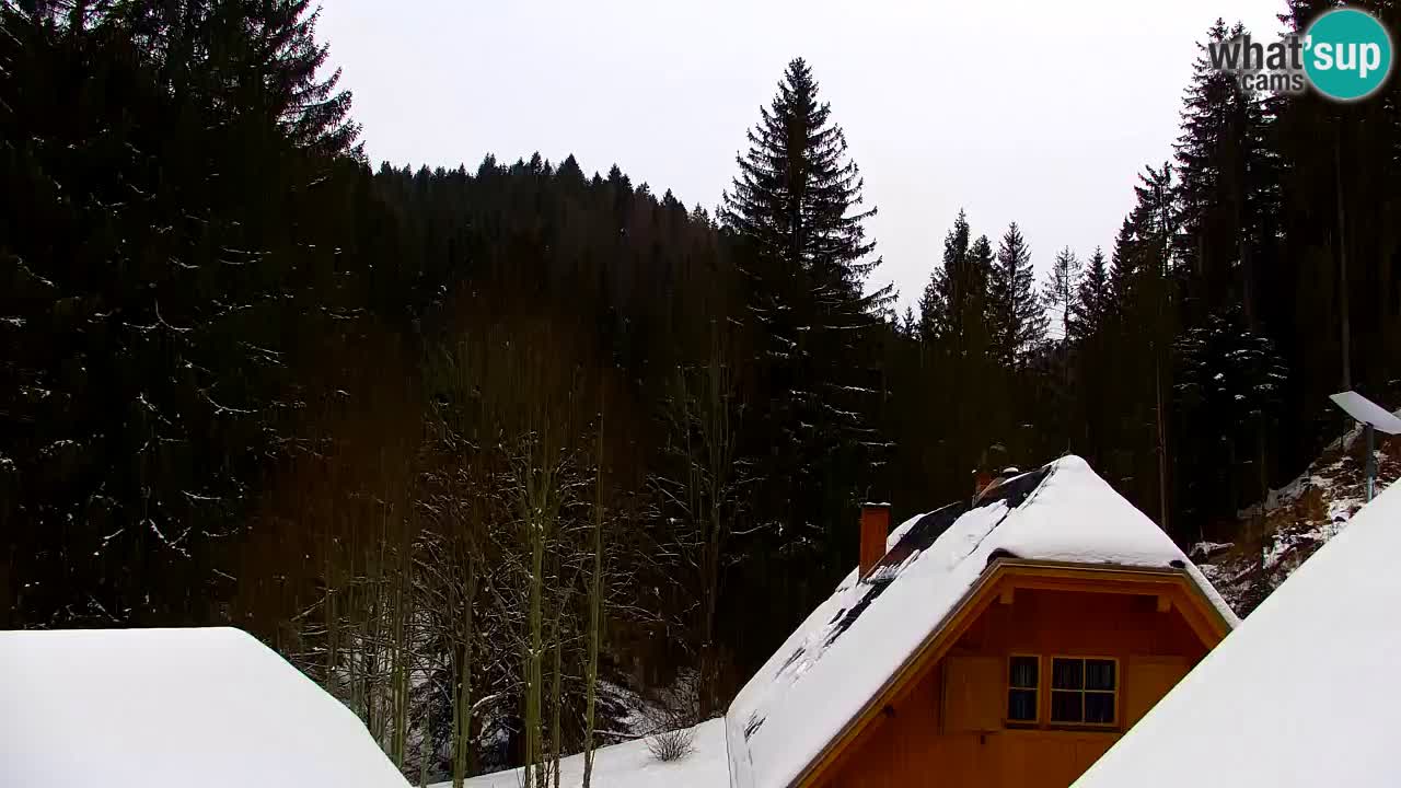 Webcam Lukanja – Water Village | Pohorje Houses