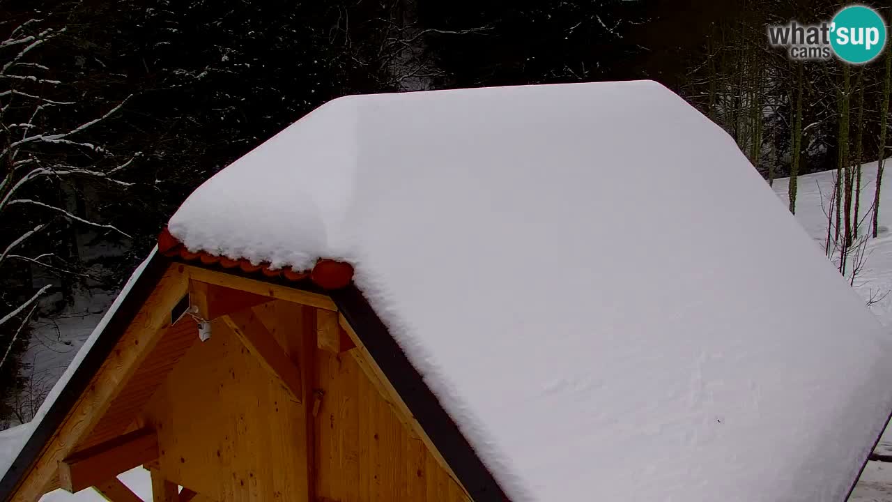 Webcam Lukanja – Pohorje houses a Water village