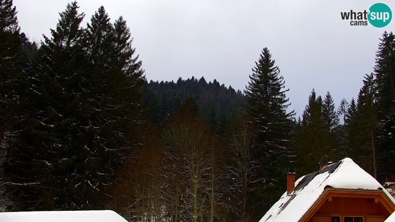 Webcam Lukanja – Pohorje houses a Water village