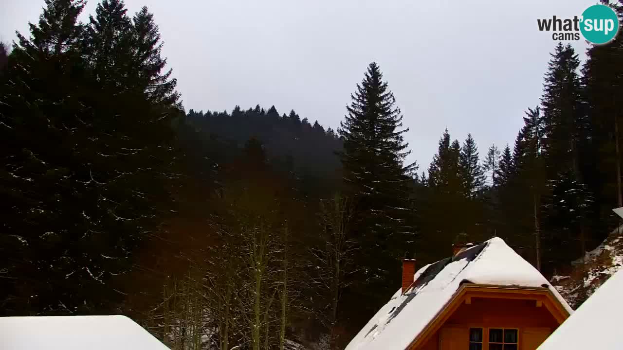 Webcam Lukanja – Water Village | Pohorje Houses