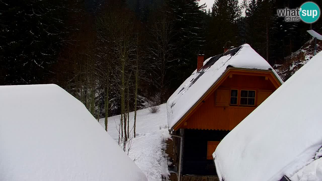 Web kamera Lukanja – Water Village | Pohorje Houses