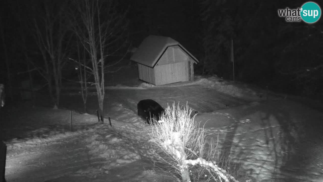 Webcam Lukanja – Water Village | Pohorje Houses