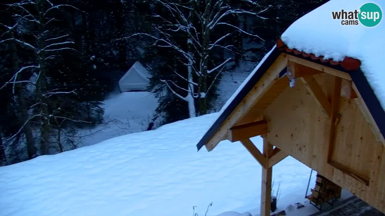 Webcam Lukanja – Water Village | Pohorje Houses