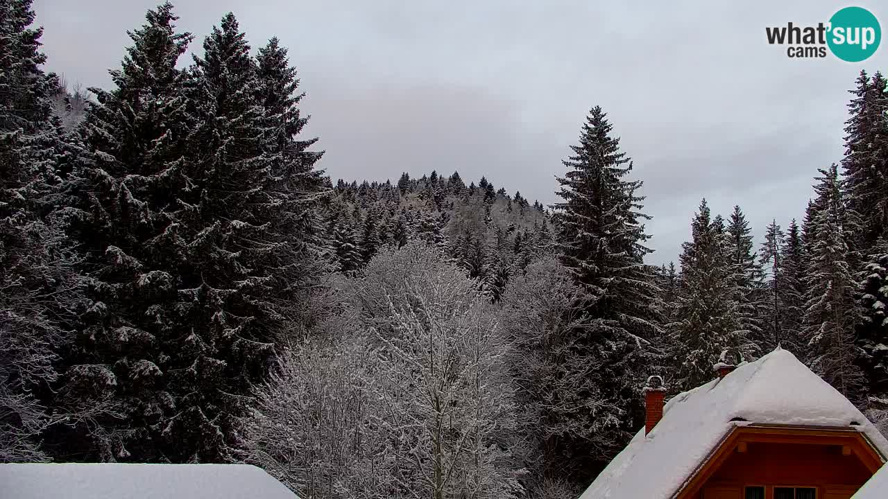 Spletna kamera Lukanja – Water Village | Pohorje Houses