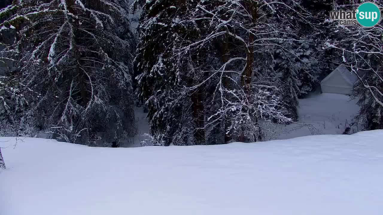 Webcam Lukanja – Water Village | Pohorje Houses