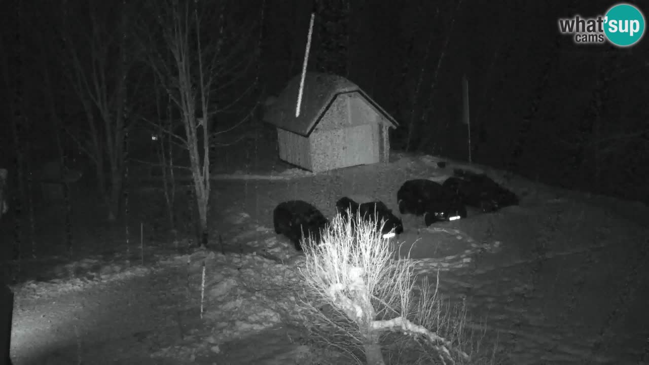 Webcam Lukanja – Pohorje houses a Water village