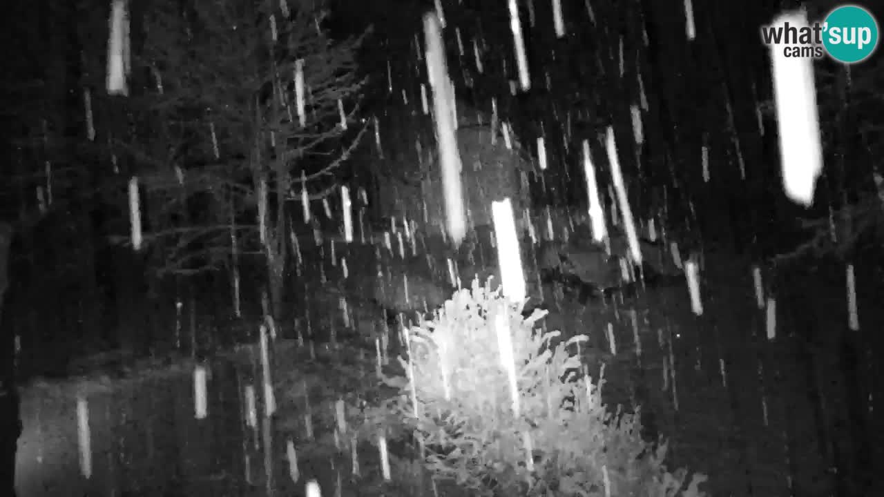 Webcam Lukanja – Water Village | Pohorje Houses