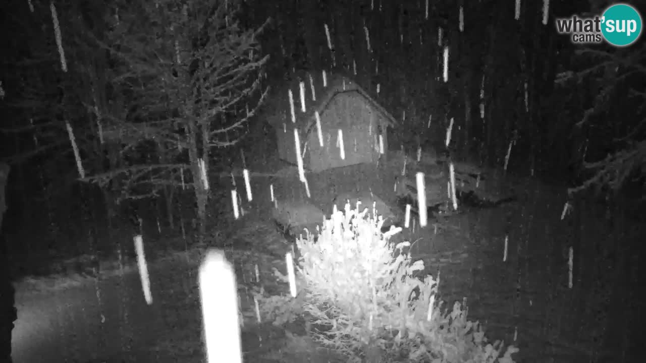 Webcam Lukanja – Water Village | Pohorje Houses