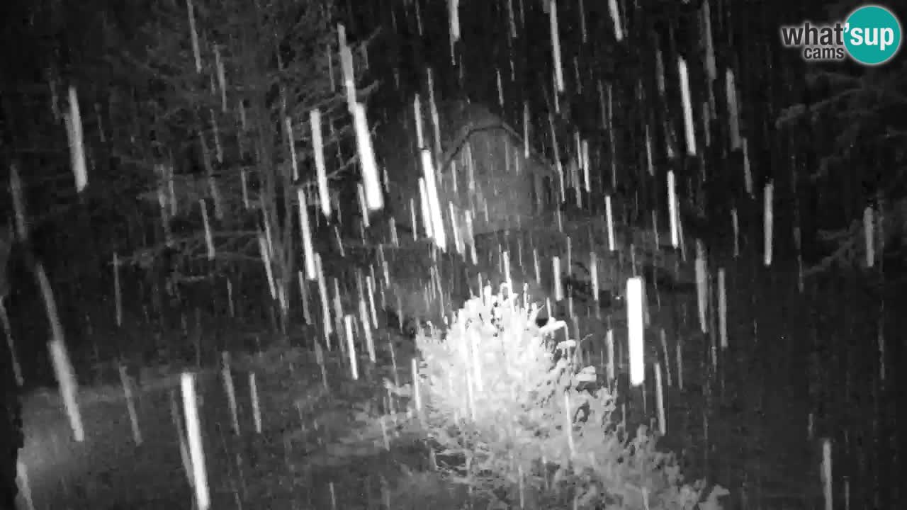 Webcam Lukanja – Pohorje houses a Water village