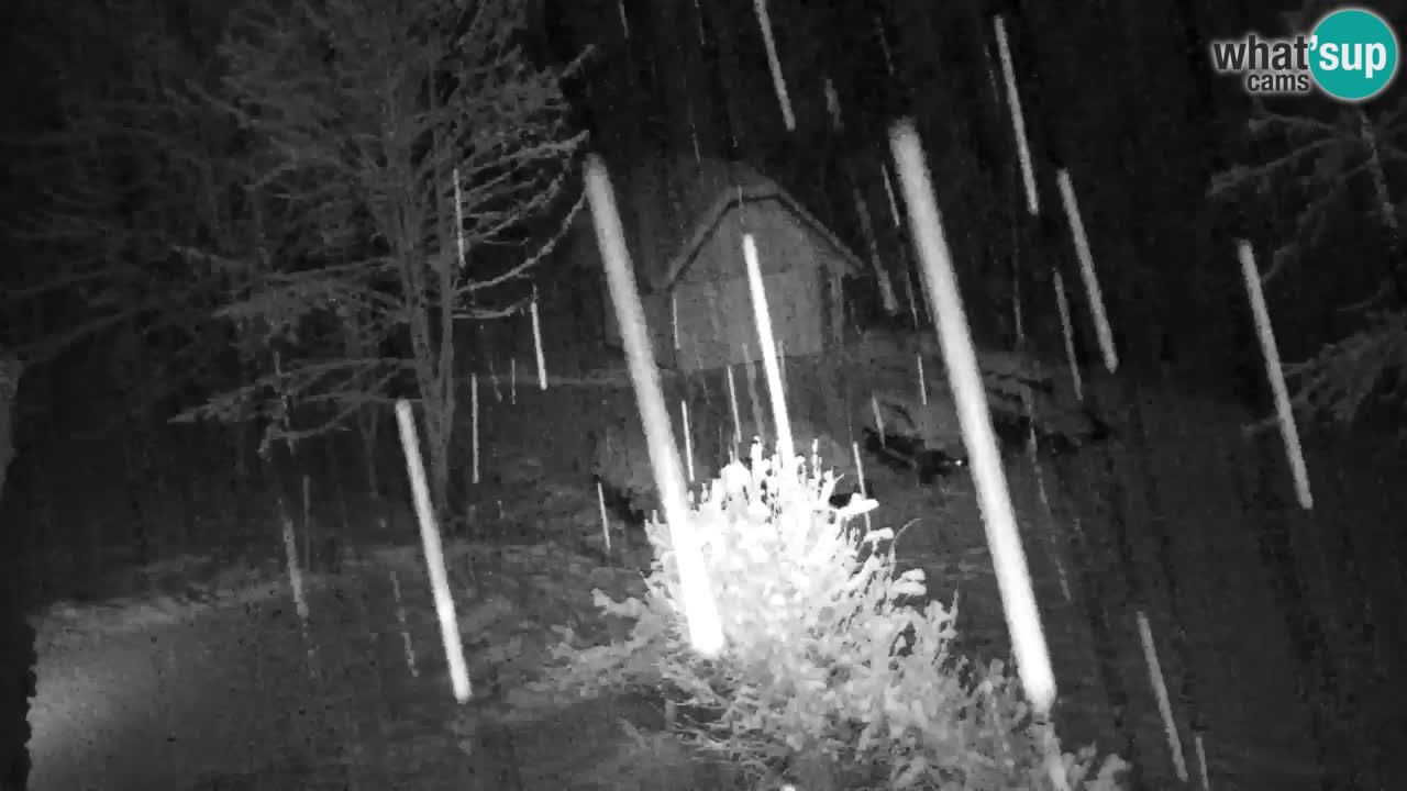 Webcam Lukanja – Water Village | Pohorje Houses